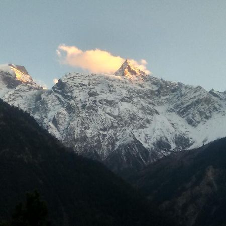Wanderers Homestay -All Mountain Facing Rooms Kalpa Exterior photo
