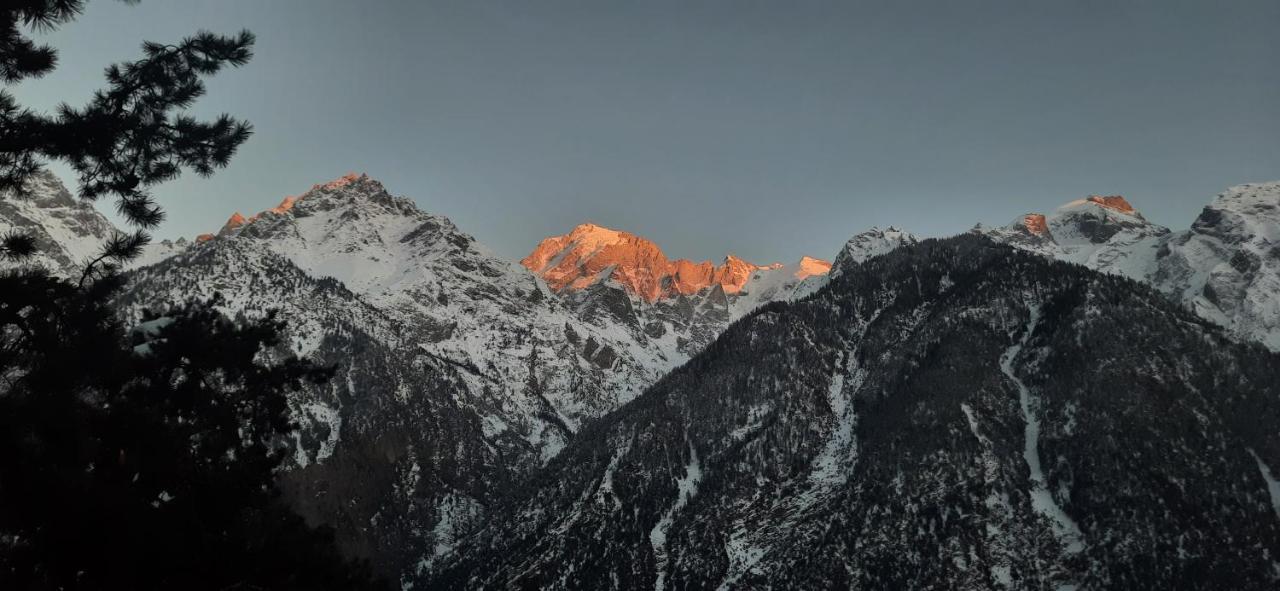 Wanderers Homestay -All Mountain Facing Rooms Kalpa Exterior photo